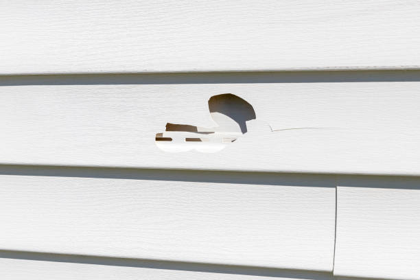 Best Residential Vinyl Siding Installation  in Kirkland, WA