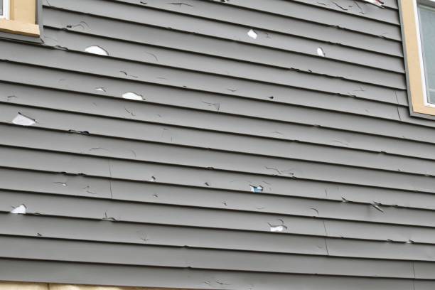 Best Aluminum Siding Installation  in Kirkland, WA
