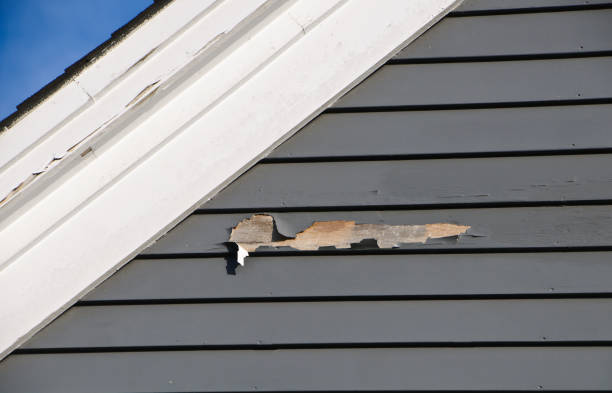 Best Stone Veneer Siding  in Kirkland, WA